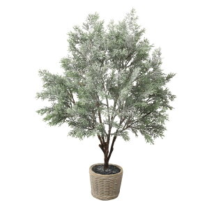 Xm[V_[c[|bg 75cmbCAB-063 A[eBtBVO[ lHϗtA O[   ㎿ i  S[WX rO T z[