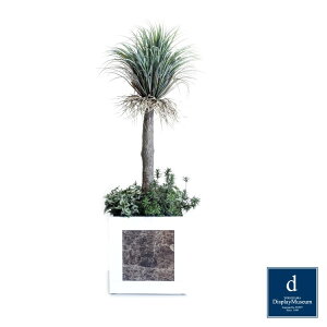 O[AWg (bJXg[^)210cmblfBXvC~[WA FBCD-5001 A[eBtBVO[ O[AWg x[Xt lHϗtA tO[ 