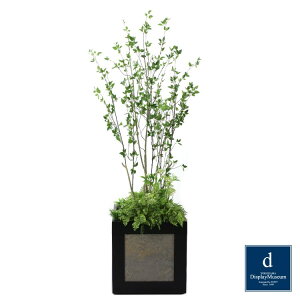 O[AWg (hE_)230cmblfBXvC~[WA FBCD-5008 A[eBtBVO[ O[AWg x[Xt lHϗtA tO[  