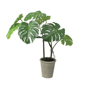 �����X�e���|�b�g H110cm W75cm�bGLA-1548NGR �A�[�e�B�t�B�V�����O���[�� �l�H�ϗt�A�� ���t���O���[�� ���� ������� �㎿ ��i ���� �S�[�W���X ���r���O �T���� �z�[��