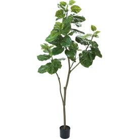 ウンベラータ 180cm｜GLP-1498 アーティフィシャルグリーン 人工観葉植物 グリーン 造花 おしゃれ 上質 上品 高級 ゴージャス リビング サロン ホール
