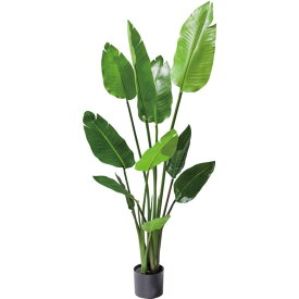 オーガスタ 120cm｜GLP-1520 アーティフィシャルグリーン 人工観葉植物 グリーン 造花 おしゃれ 上質 上品 高級 ゴージャス リビング サロン ホール