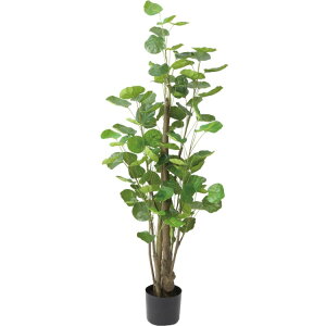 �|���V���X�t���X�r�[ 130cm�bGLP-1530 �A�[�e�B�t�B�V�����O���[�� �l�H�ϗt�A�� �O���[�� ���� ������� �㎿ ��i ���� �S�[�W���X ���r���O �T���� �z�[��