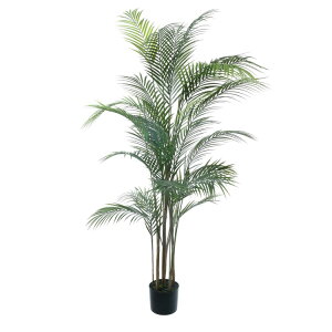 観葉植物 高級の人気商品 通販 価格比較 価格 Com