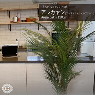 アレカヤシ 150cm｜GLP-1534 アーティフィシャルグリーン 人工観葉植物 鉢付きグリーン 造花 おしゃれ 上…