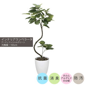 インテリアウンベラータ1.65m｜GLPA-048 アーティフィシャルグリーン 人工観葉植物 鉢付きグリーン 可視光応答型光触媒「V-CAT Tree」 造花 おしゃれ 上質 上品 高級 ゴージャス リビング サロン ホール