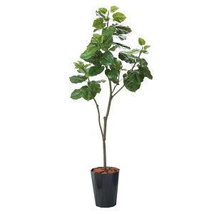 Ex[^ 180cm uE|bgbGLPS-1498BRL A[eBtBVO[ lHϗtA tO[   ㎿ i  S[WX rO T z[