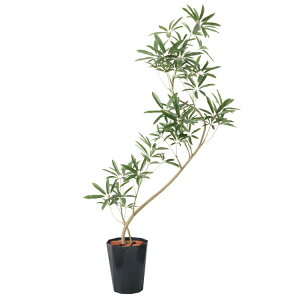 VFtAKXeB 130cm p[zCg|bgbGLPS-1532PWS A[eBtBVO[ lHϗtA tO[   ㎿ i  S[WX rO T z[