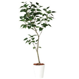 インドボダイジュ1.8m｜GLPT-216 アーティフィシャルグリーン 人工観葉植物 鉢付きグリーン 造花 おしゃれ 上質 上品 高級 ゴージャス リビング サロン ホール