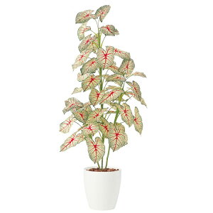 JWEgsJ[i W65×H100cmbTK91450 A[eBtBVO[ lHϗtA tO[   ㎿ i  S[WX rO T z[