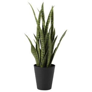 TXxA O[ W40×H80cmbTK91621 A[eBtBVO[ lHϗtA tO[   ㎿ i  S[WX rO T z[