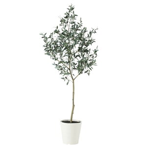 �u���b�N�I���[�u FST W80×H180cm�bTK91626 �A�[�e�B�t�B�V�����O���[�� �l�H�ϗt�A�� ���t���O���[�� ���� ������� �㎿ ��i ���� �S�[�W���X ���r���O �T���� �z�[��
