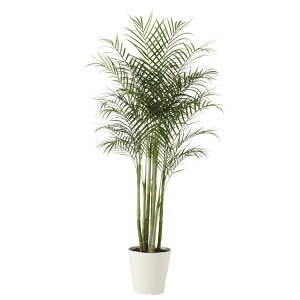 AJV PE W100×H200cmbTK91629 A[eBtBVO[ lHϗtA tO[   ㎿ i  S[WX rO T z[