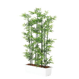 �| �p�[�e�[�V���� W100×D50×H180cm�bTK91662 �A�[�e�B�t�B�V�����O���[�� �l�H�ϗt�A�� ���t���O���[�� ���� ������� �㎿ ��i ���� �S�[�W���X ���r���O �T���� �z�[��