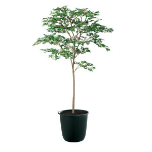 }~W GREEN FST W110×H180cmbTK91759 A[eBtBVO[ lHϗtA tO[   ㎿ i  S[WX rO T z[