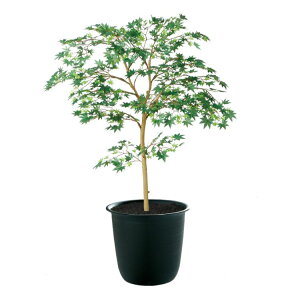 }~W GREEN FST W70×H100cmbTK91761 A[eBtBVO[ lHϗtA tO[   ㎿ i  S[WX rO T z[