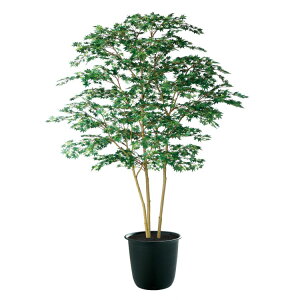 }~W GREEN FST W140×H200cmbTK91762 A[eBtBVO[ lHϗtA tO[   ㎿ i  S[WX rO T z[