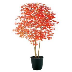 }~W RED FST W140×H200cmbTK91771 A[eBtBVO[ lHϗtA tO[   ㎿ i  S[WX rO T z[