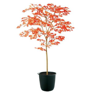 }~W RED FST W100×H150cmbTK91773 A[eBtBVO[ lHϗtA tO[   ㎿ i  S[WX rO T z[