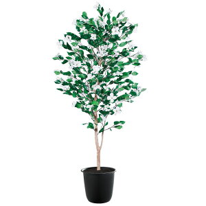 ni~YL W90×H200cmbTK91780 A[eBtBVO[ lHϗtA tO[   ㎿ i  S[WX rO T z[ [׎]