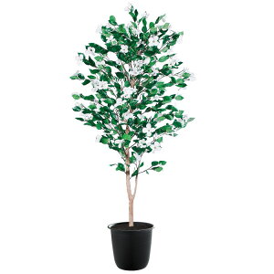 ni~YL W80×H180cmbTK91781 A[eBtBVO[ lHϗtA tO[   ㎿ i  S[WX rO T z[ [׎]