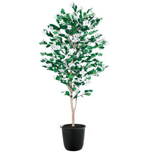 ni~YL W70×H150cmbTK91782 A[eBtBVO[ lHϗtA tO[   ㎿ i  S[WX rO T z[ [׎]