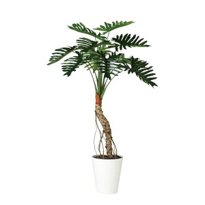 Z[ W90×H150cmbTK91852 A[eBtBVO[ lHϗtA tO[   ㎿ i  S[WX rO T z[