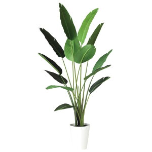 I[KX^ W90×H190cmbTK91873 A[eBtBVO[ lHϗtA tO[   ㎿ i  S[WX rO T z[