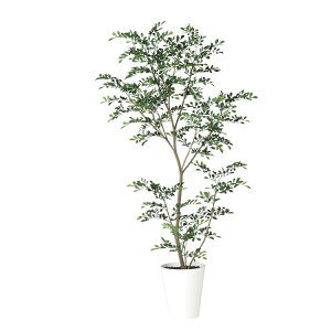 �g�l���R FST W80×H180cm�bTK91888 �A�[�e�B�t�B�V�����O���[�� �l�H�ϗt�A�� ���t���O���[�� ���� ������� �㎿ ��i ���� �S�[�W���X ���r���O �T���� �z�[��