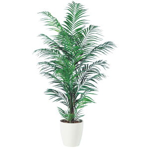 AJV W90×H180cmbTK98548 A[eBtBVO[ lHϗtA tO[   ㎿ i  S[WX rO T z[