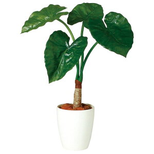 NYC VO W50×H70cmbTK98884 A[eBtBVO[ lHϗtA tO[   ㎿ i  S[WX rO T z[