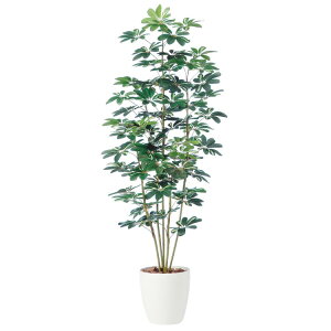 VFt W85×H180cmbTK98889 A[eBtBVO[ lHϗtA tO[   ㎿ i  S[WX rO T z[