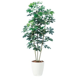 VFt W75×H150cmbTK98892 A[eBtBVO[ lHϗtA tO[   ㎿ i  S[WX rO T z[