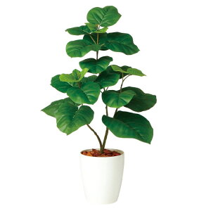 Ex[^ W50×H80cmbTK98923 A[eBtBVO[ lHϗtA tO[   ㎿ i  S[WX rO T z[