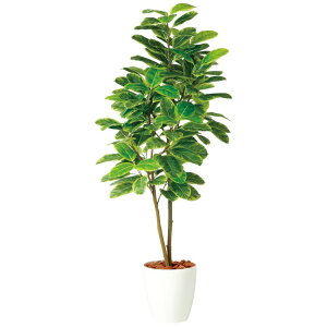 �A���e�V�}���� FST W80×H180cm�bTK98940 �A�[�e�B�t�B�V�����O���[�� �l�H�ϗt�A�� ���t���O���[�� ���� ������� �㎿ ��i ���� �S�[�W���X ���r���O �T���� �z�[��