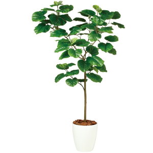 �E���x���[�^ FST W80×H150cm�bTK99103 �A�[�e�B�t�B�V�����O���[�� �l�H�ϗt�A�� ���t���O���[�� ���� ������� �㎿ ��i ���� �S�[�W���X ���r���O �T���� �z�[��