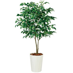 �x���W���~�� ���C�h FST W90×H150cm�bTK99122 �A�[�e�B�t�B�V�����O���[�� �l�H�ϗt�A�� ���t���O���[�� ���� ������� �㎿ ��i ���� �S�[�W���X ���r���O �T���� �z�[��
