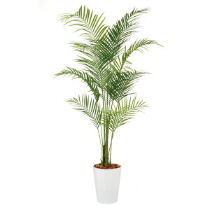 AJV PE W100×H200cmbTK99153 A[eBtBVO[ lHϗtA tO[   ㎿ i  S[WX rO T z[