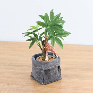 VCq L R[q[mL tGg|bg 29cmbGLA-1521FC A[eBtBVO[ lHϗtA O[ tO[   ㎿ i v[g Mtg tBMA 