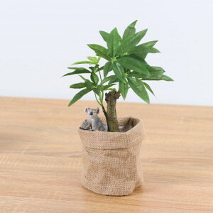 VCq RA R[q[mL |bg 29cmbGLA-1521JB A[eBtBVO[ lHϗtA O[ tO[   ㎿ i v[g Mtg tBMA t