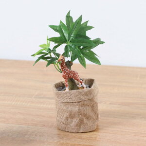 VCq L R[q[mL |bg 29cmbGLA-1521JC A[eBtBVO[ lHϗtA O[ tO[   ㎿ i v[g Mtg tBMA t