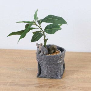 VCq RA pL tFg|bg 32cmbGLA-1522FB A[eBtBVO[ lHϗtA O[ tO[   ㎿ i v[g Mtg tBMA t