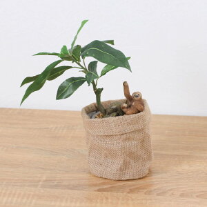 VCq i}Pm pL |bg 32cmbGLA-1522JA A[eBtBVO[ lHϗtA O[ tO[   ㎿ i v[g Mtg tBMA tB