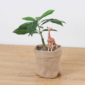 VCq L pL |bg 32cmbGLA-1522JC A[eBtBVO[ lHϗtA O[ tO[   ㎿ i v[g Mtg tBMA tBM