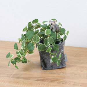 VCq RA v~ tFg|bg 24cmbGLA-1529FB A[eBtBVO[ lHϗtA O[ tO[   ㎿ i v[g Mtg tBMA t