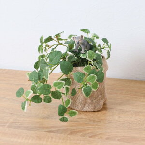 VCq RA v~ |bg 24cmbGLA-1529JB A[eBtBVO[ lHϗtA O[ tO[   ㎿ i v[g Mtg tBMA tBM