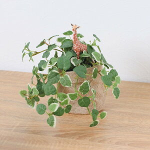 VCq L v~ |bg 24cmbGLA-1529JC A[eBtBVO[ lHϗtA O[ tO[   ㎿ i v[g Mtg tBMA tBM