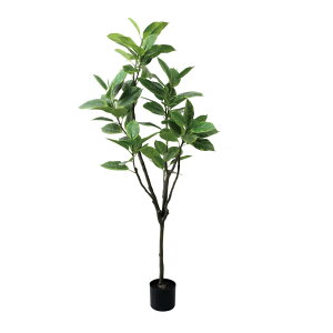 tBJXAeV} 150cmbGLP-1569A[eBtBVO[ lHϗtA O[   ㎿ i  S[WX rO T z[