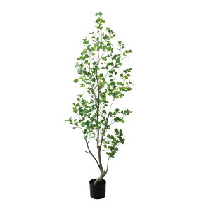 �t�B�J�X�g���C�A���M�����X 180cm�bGLP-1570�A�[�e�B�t�B�V�����O���[�� �l�H�ϗt�A�� �O���[�� ���� ������� �㎿ ��i ���� �S�[�W���X ���r���O �T���� �z�[��