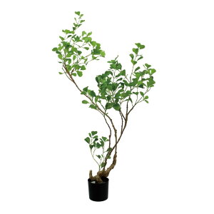 �t�B�J�X�g���C�A���M�����X 125cm�bGLP-1578�A�[�e�B�t�B�V�����O���[�� �l�H�ϗt�A�� �O���[�� ���� ������� �㎿ ��i ���� �S�[�W���X ���r���O �T���� �z�[��